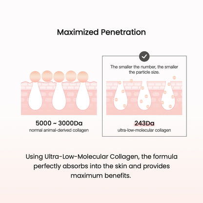 Collagen Ampoule